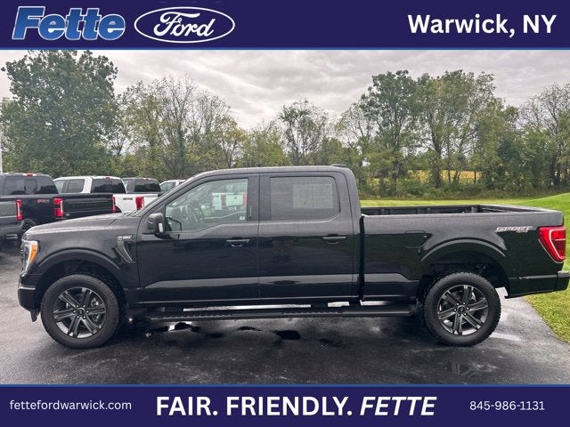 2023 Ford F-150 XLT
