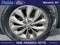 2019 Kia Sedona L